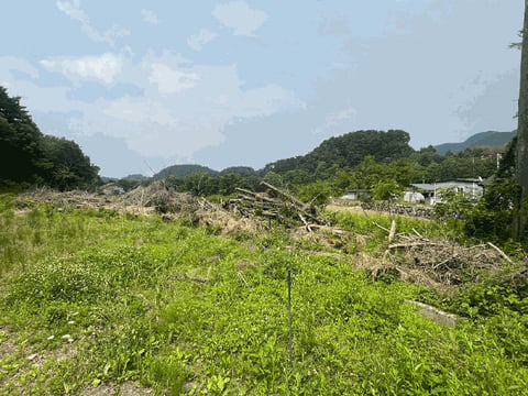 물건 사진 18
