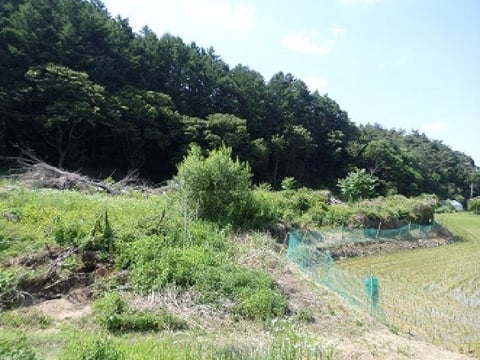 물건 사진 5