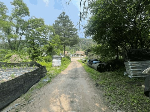 물건 사진 9