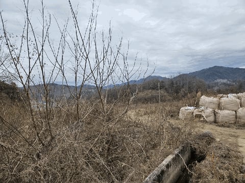 물건 사진 14