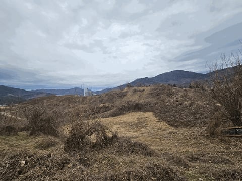 물건 사진 11