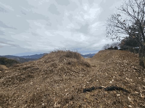 물건 사진 12