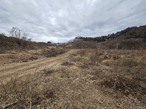 물건 사진 13