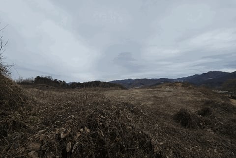 물건 사진 7