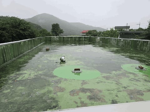 물건 사진 15