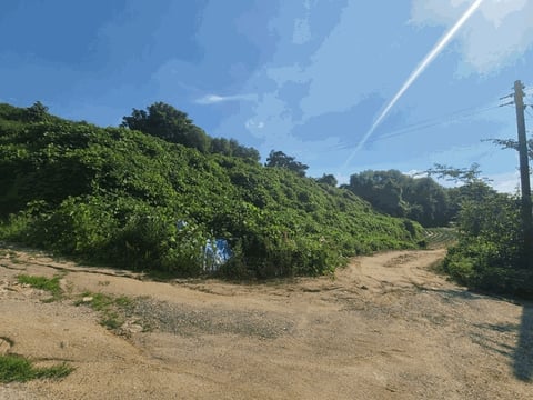 물건 사진 11