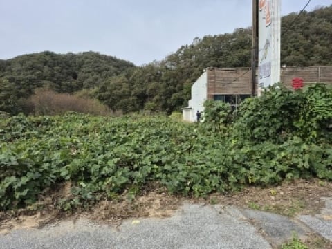물건 사진 2