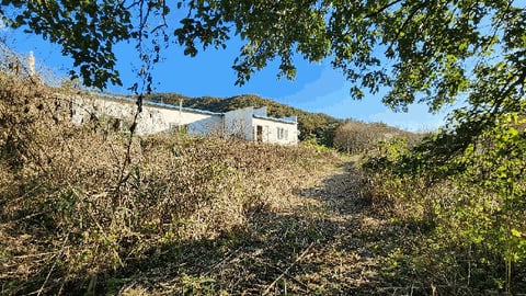 물건 사진 13