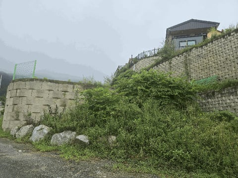 물건 사진 17