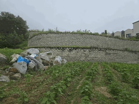 물건 사진 8