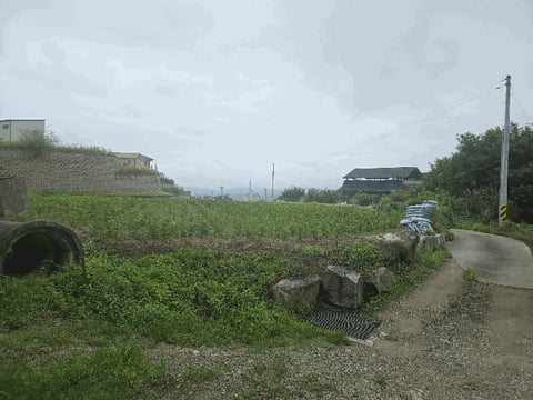 물건 사진 9