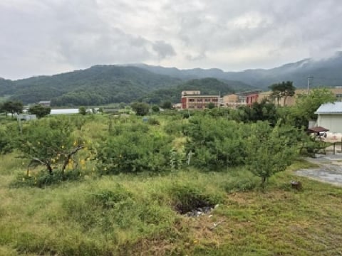 물건 사진 1