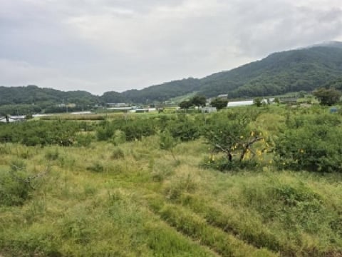 물건 사진 2