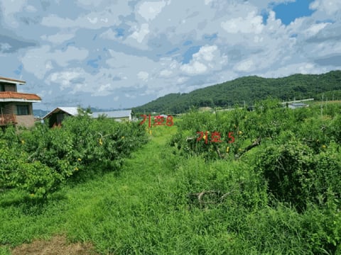 물건 사진 15