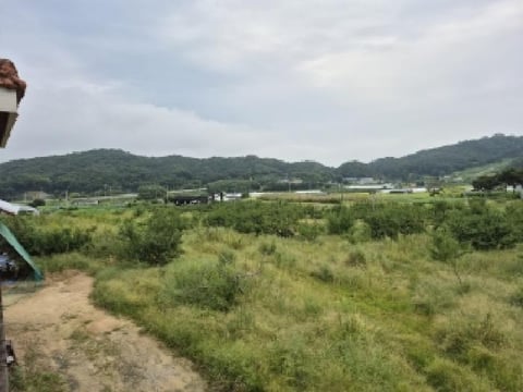 물건 사진 7