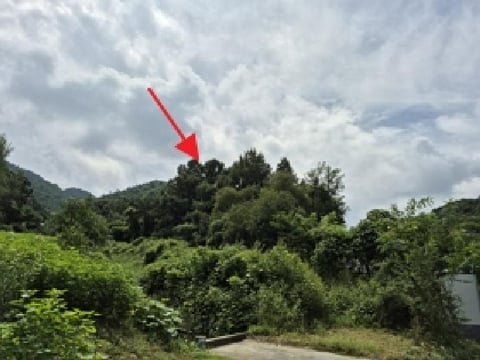 물건 사진 1