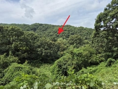 물건 사진 3