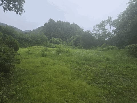 물건 사진 7