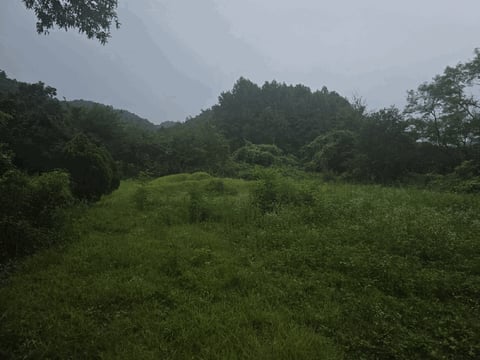 물건 사진 10