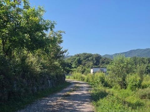 물건 사진 3