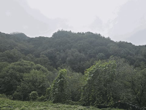 물건 사진 12