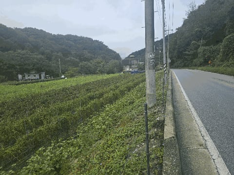 물건 사진 18