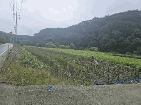 물건 사진 17