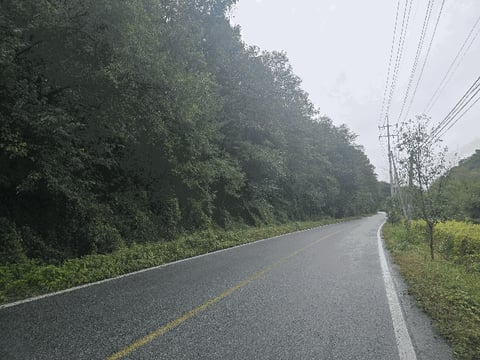 물건 사진 22