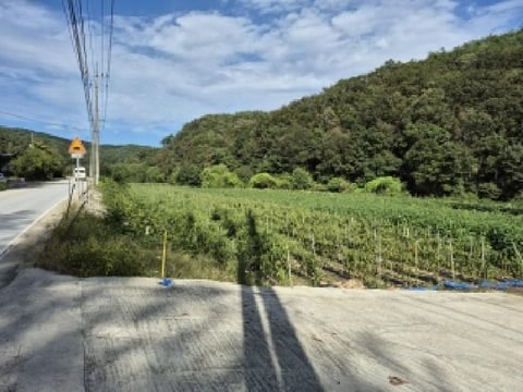 물건 사진 2