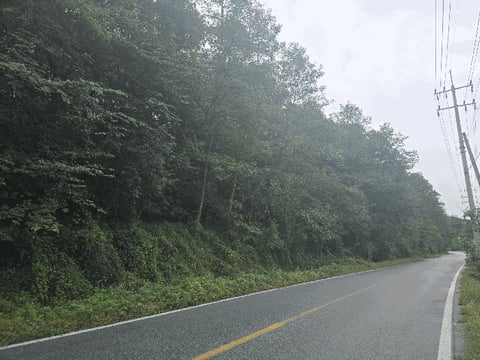 물건 사진 15