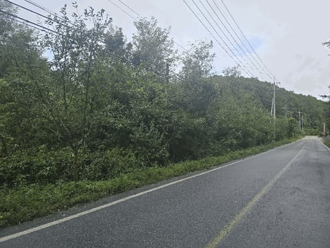 물건 사진 19