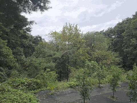 물건 사진 10