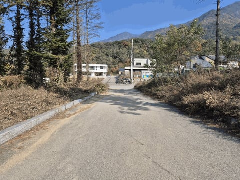 물건 사진 15