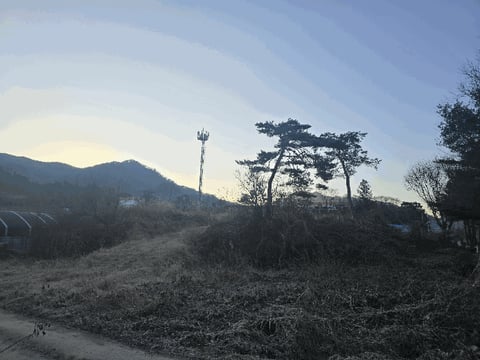 물건 사진 5