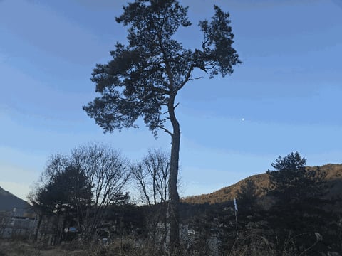 물건 사진 6