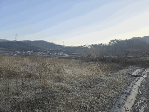 물건 사진 7