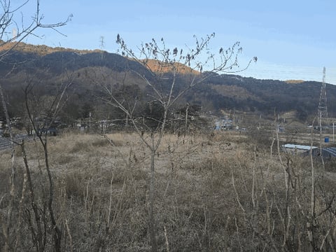 물건 사진 8