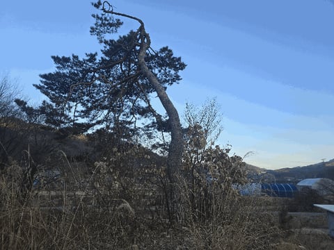 물건 사진 9