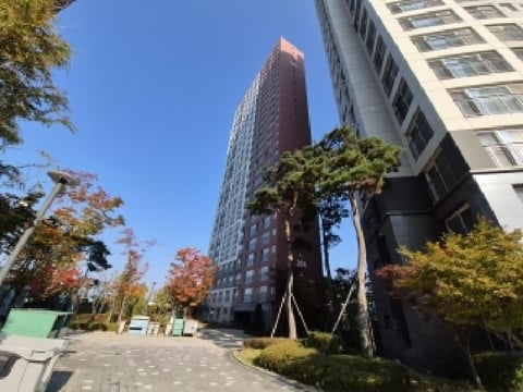 물건 사진 1