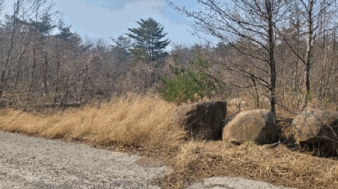물건 사진 14