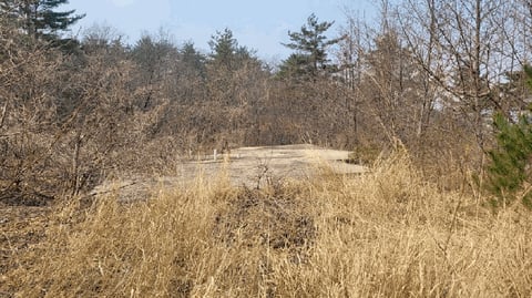 물건 사진 15
