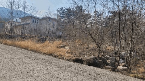 물건 사진 18