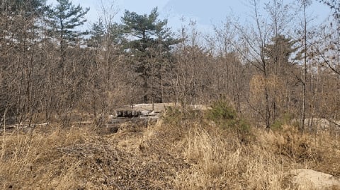 물건 사진 19