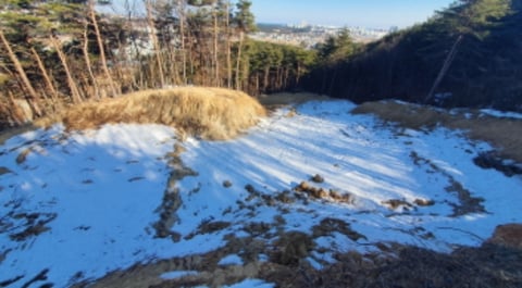 물건 사진 7