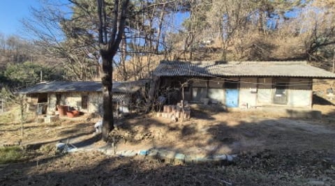 물건 사진 3
