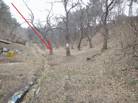 물건 사진 6