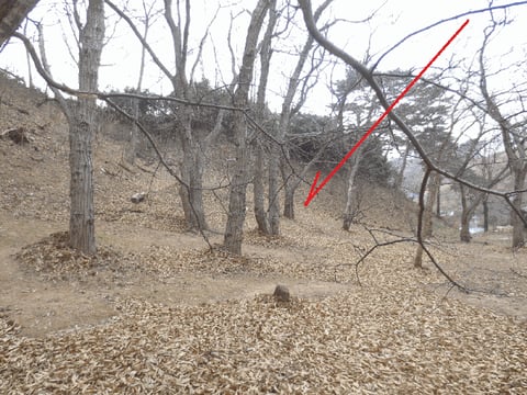 물건 사진 8