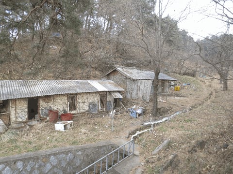 물건 사진 9
