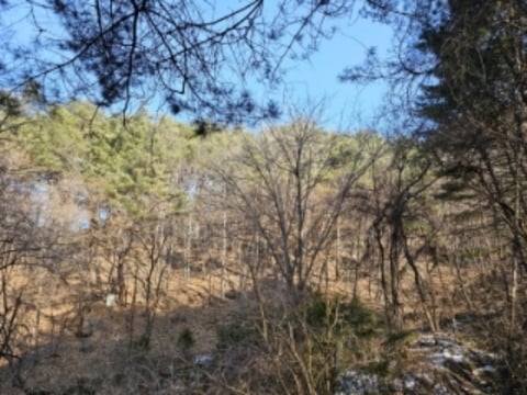 물건 사진 18