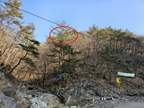 물건 사진 22